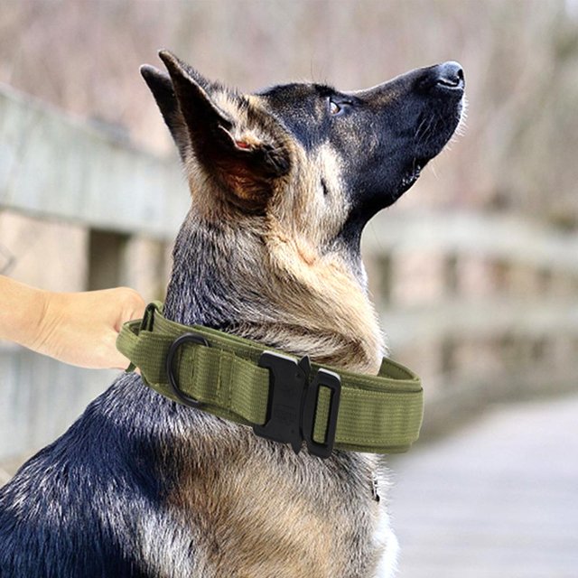 Collar de perro ajustable Yinane con hebilla de liberación rápida colores sólidos clásicos para entrenamiento grande