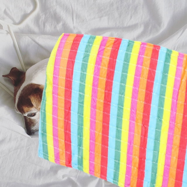 Houderco 1Ud Para Mascotas Multicolor Resistente Ideal Para Y Abrigo En