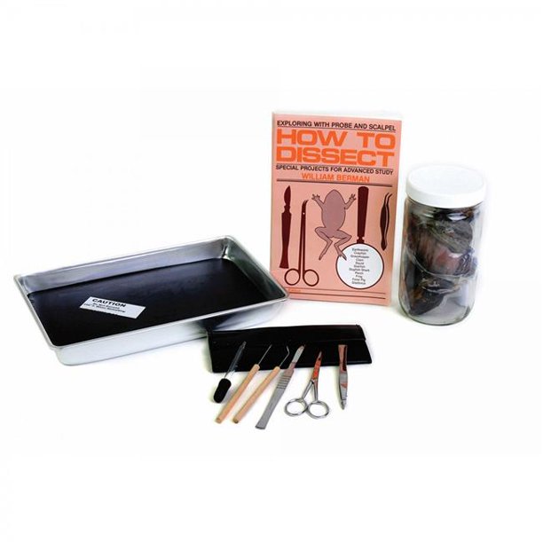 Complete Dissecting Kit 14 Piece Walmart Com Walmart Com
