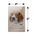 thumbnail image 3 of Beagle Dog Breed Rectangle Acrylic Fridge Refrigerator Magnet, 3 of 5