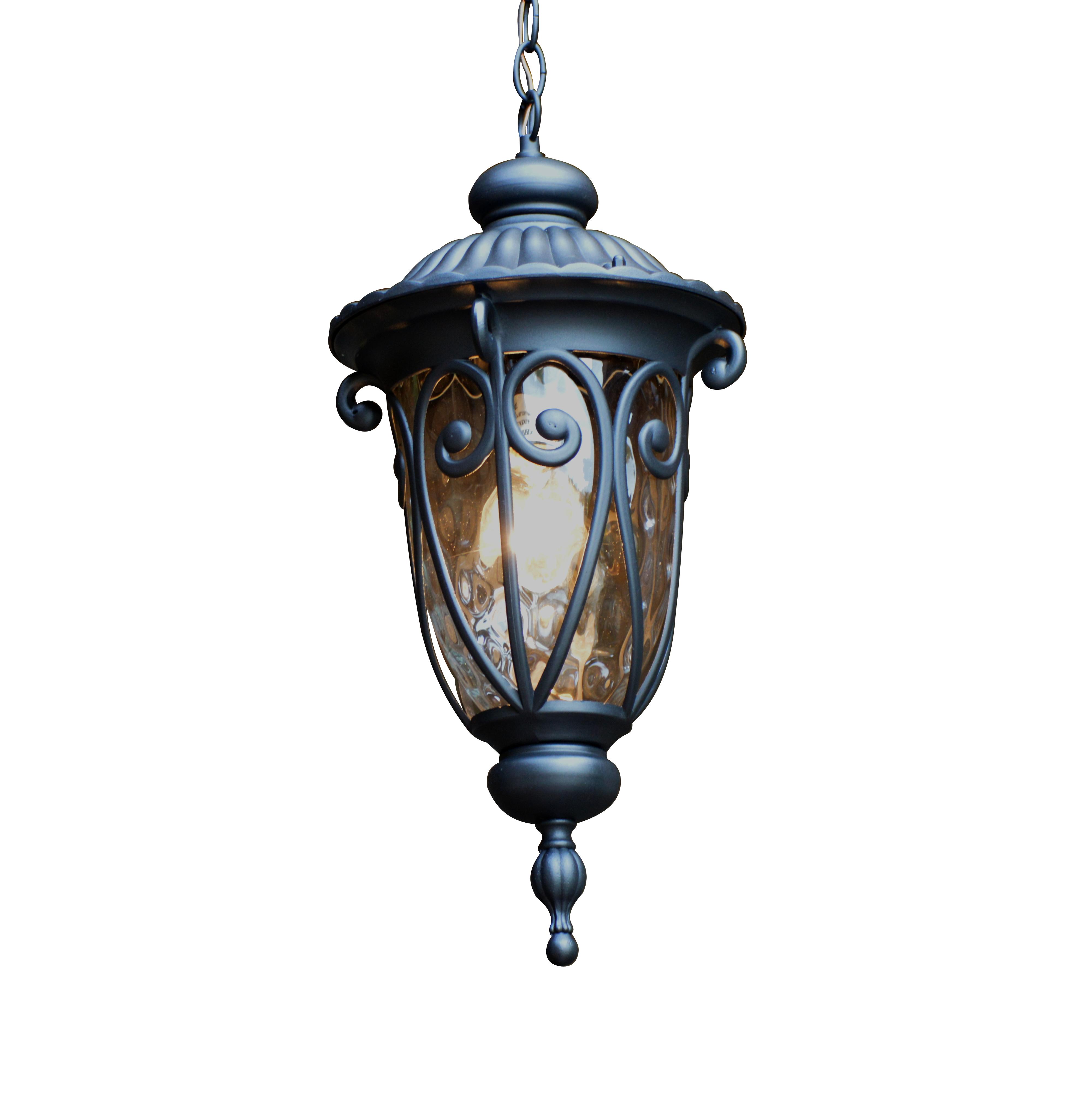 Hailee 1 Light Exterior Hanging Light in Matte Black