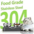 0/15 Tilted Raised Cat Food Bowl Set, Stuffygreenus Stainless Steel Cat