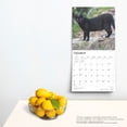 thumbnail image 5 of Black Cats | 2025 12x24" (Hanging) Square Wall Calendar | BrownTrout, 5 of 9