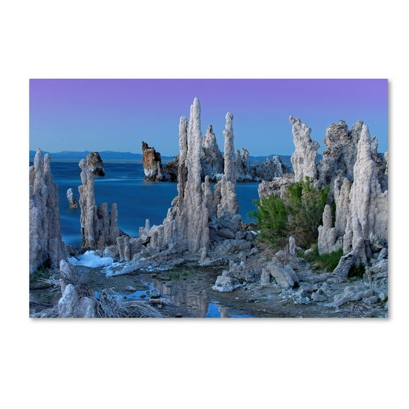 Trademark Fine Art 'Mono Lake Dusk' Canvas Art by Mike Jones Photo