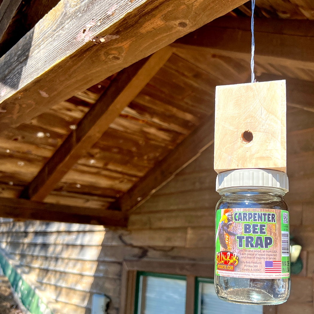3pk- Carpenter Bee Trap