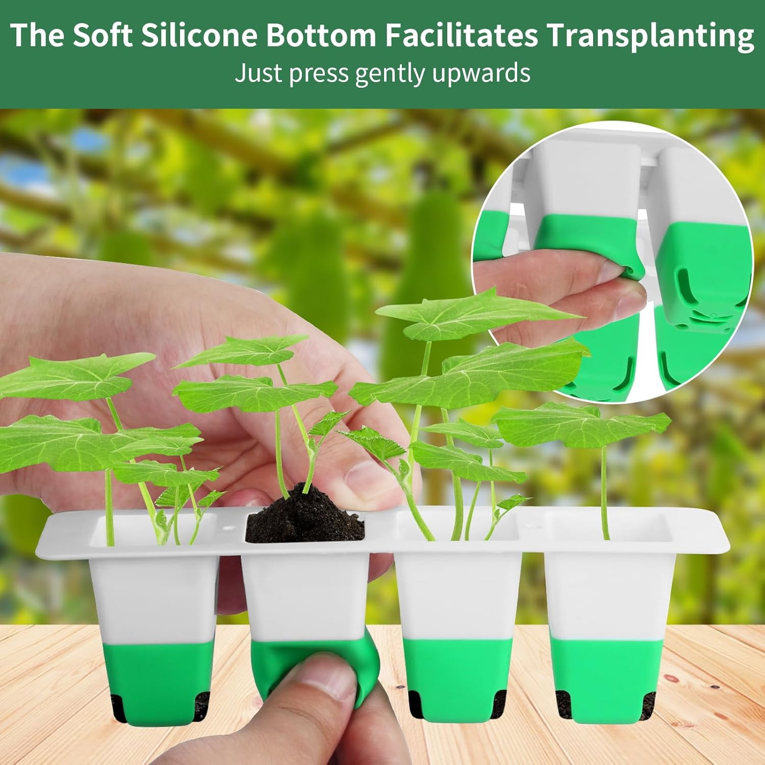 Seed Starter Tray with Soft Silicone Cells, 80 Cells Seedling Trays Seed Startering Kit, 4 Pack Plant Starter Trays with Humidity Dome, Base Mini Greenhouse Germination Kit