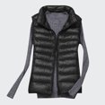 thumbnail image 2 of Hvyesh Womens Oversized Puffer Vest Stand Collar Full Zip Sleeveless Bubble Puffer Vest Quilted Padded Warm Coat Outwear, 2 of 6