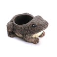 thumbnail image 1 of Succulent Flower Pot Mini Resin Plant Pot for Office Desktop Frog, 1 of 5