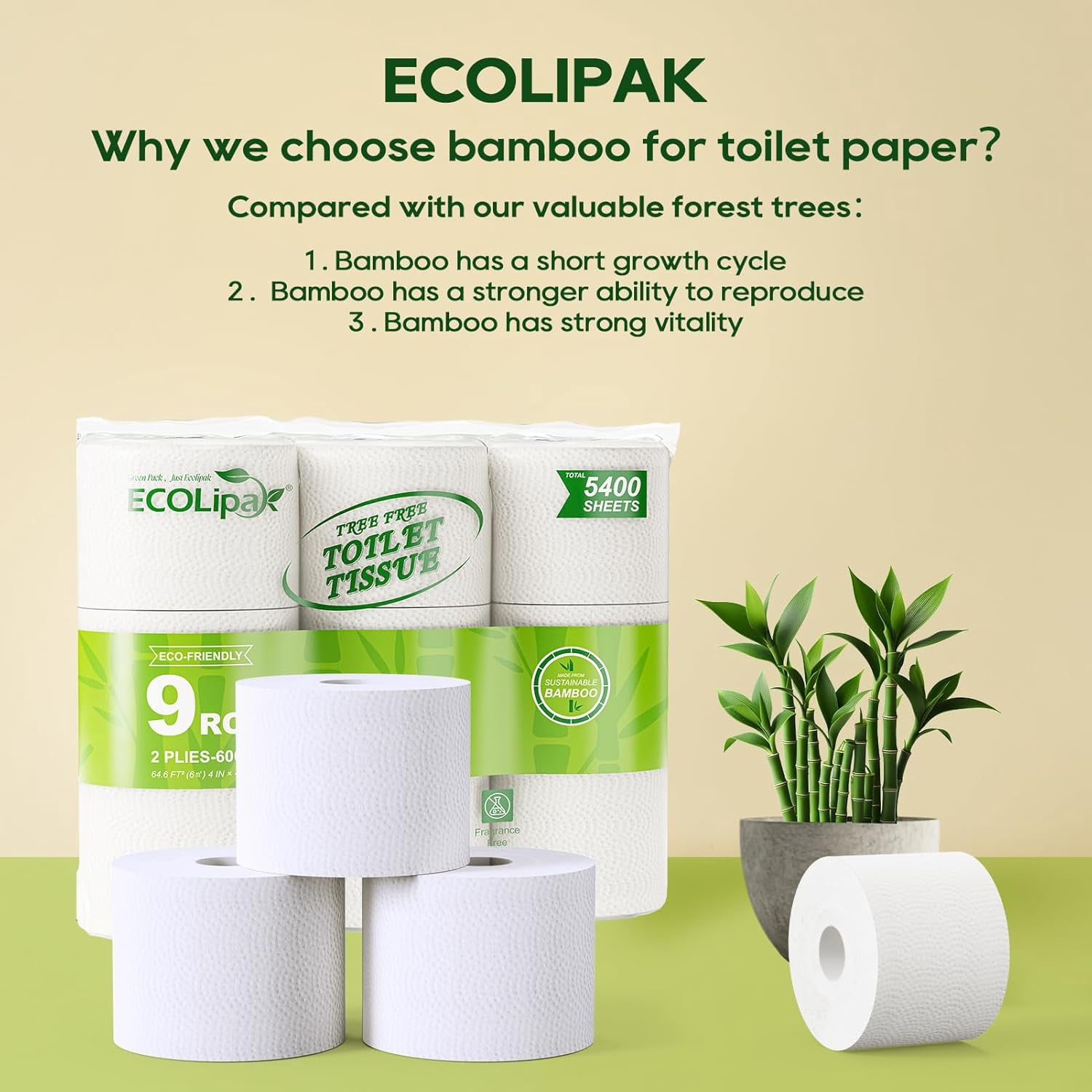 Bamboo Toilet Paper, Septic Safe Toilet Tissue, 9 Mega Rolls, 600 Sheets Per Roll, Tree Free, Non Toxic, 2 Ply, Soft and Absorbent, Eco Friendly Dye-Free Paper