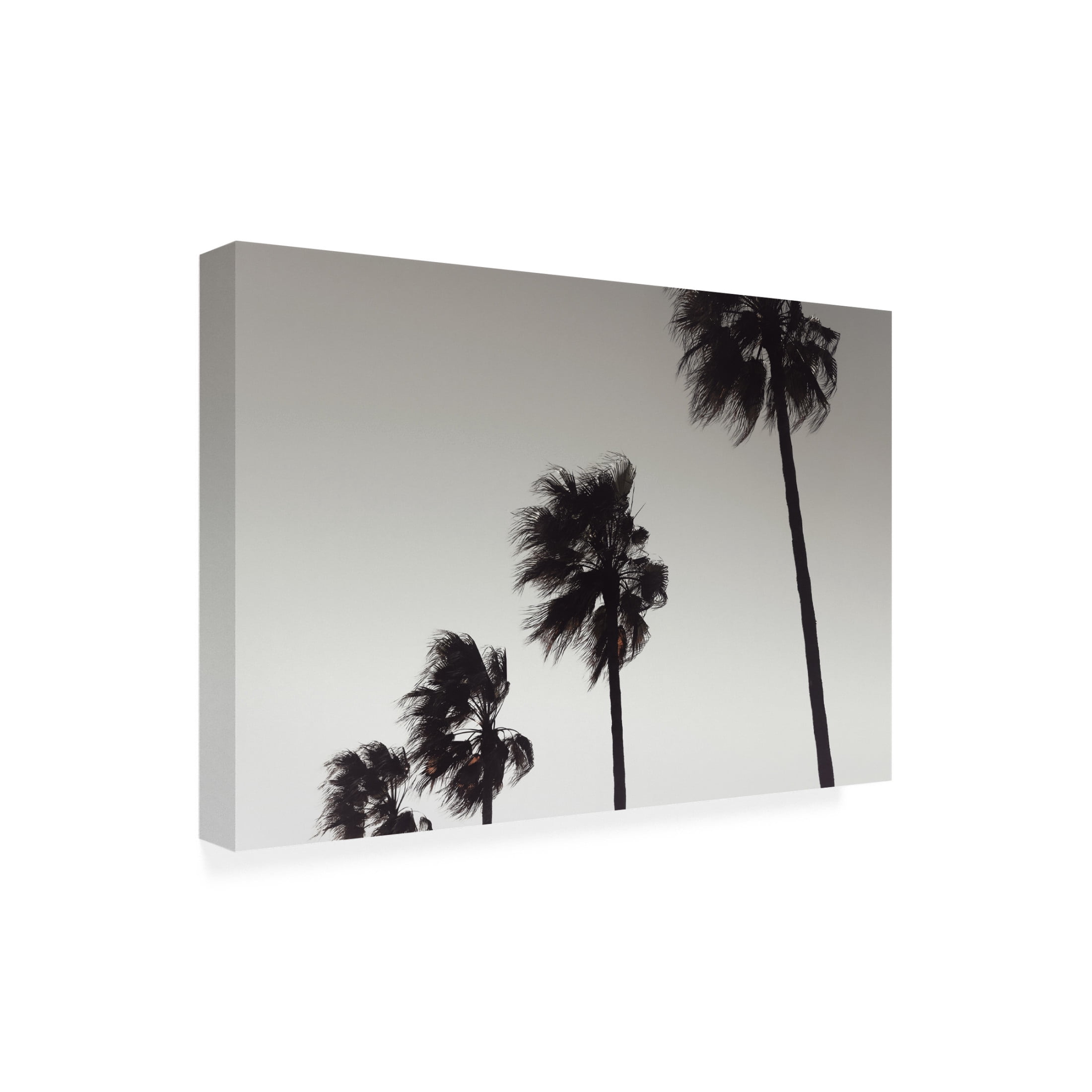 Pictufy Studio III 'Palm 4' Canvas Art - 32 x 22 Inches