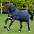 thumbnail image 1 of Amigo Bravo 12 Plus Turnout Blanket (100g Medium-Lite, 0g Hood, Disc Front), Navy (Gold/Red Trim), Size: 69, 1 of 5