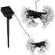 thumbnail image 5 of Decorative Durable String Lights, Solar String Lights, for Christmas Valentine's Day ANGGREK Otros, 5 of 8