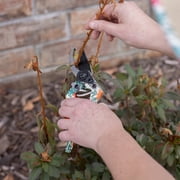 Expert Gardener Floral Tool 3 Piece Set