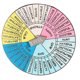 thumbnail image 5 of Metal Alloy Emotion Wheel Badge Durable Pin for Therapy Mental Health Decoration Portable Compact Design for Adults Students, 5 of 5