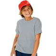 thumbnail image 1 of Hanes Garçon ComfortBlend EcoSmart Col Rond, m, Acier Pâle, 1 of 3