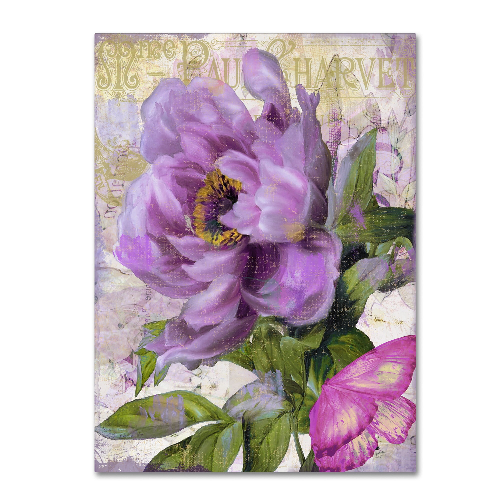 Trademark Fine Art "July" Canvas Art by Color Bakery