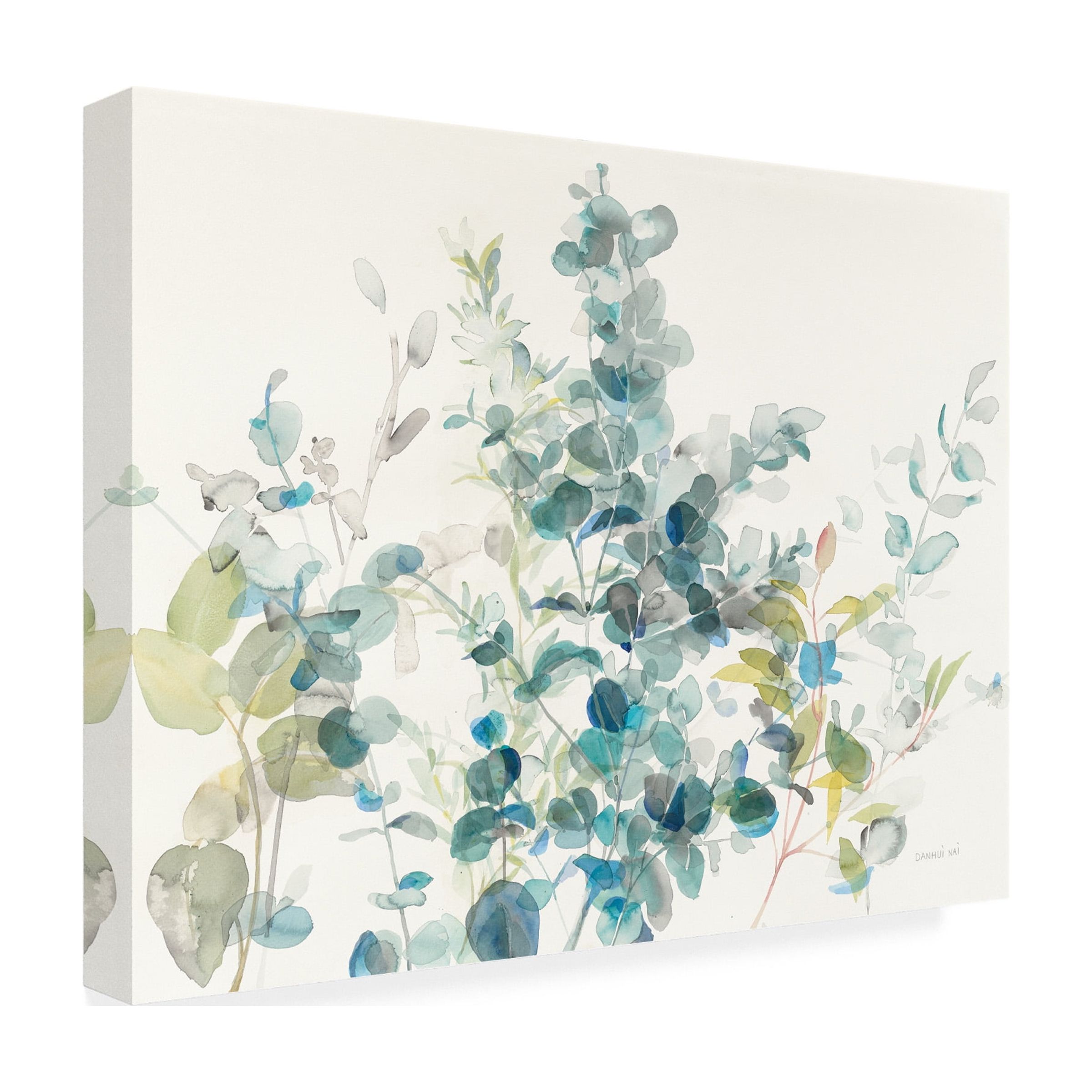 Trademark Fine Art 'Eucalyptus I' Canvas Art by Danhui Nai