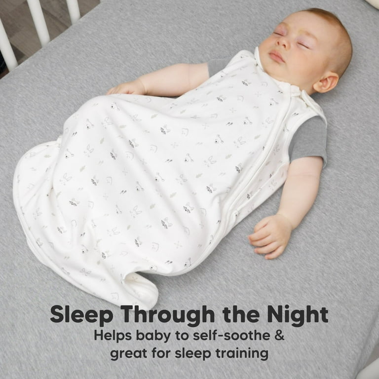 Swaddle sack best sale walmart