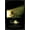 Black Framed Version, variant on Coraline - Be Careful One Sheet Wall Poster, 22.375" x 34"