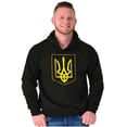 thumbnail image 5 of Ukraine Pride Vintage Coat of Arms Hoodie Sweatshirt Women Men Brisco Brands S, 5 of 5