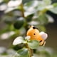 thumbnail image 2 of Yuarrent 20 pack/lote de resina compacta colgante DIY paisajes de musgo 2. La forma de abeja es un jardín bonito y único Decoración del hogar, 2 of 6