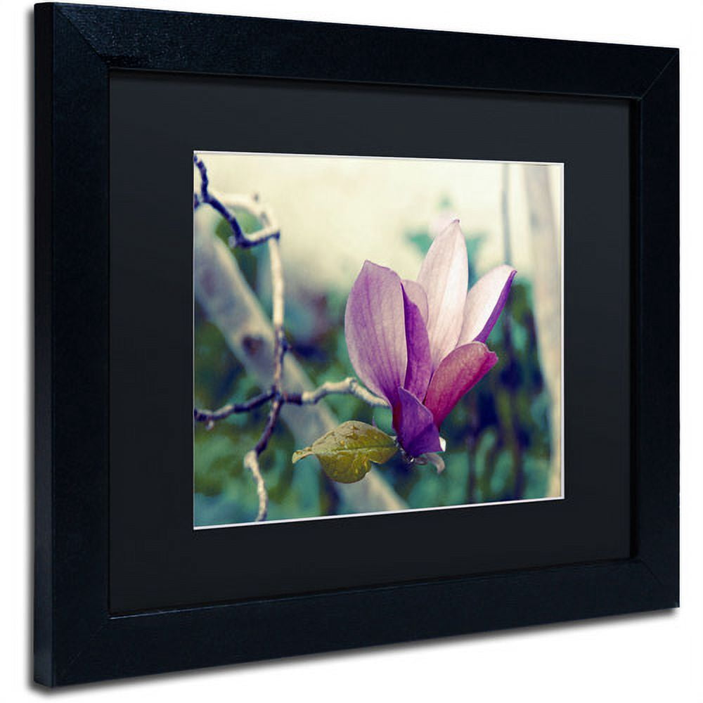 Trademark Fine Art "Pink Magnolia" Canvas Art by Patty Tuggle, Black Matte, Black Frame
