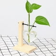 thumbnail image 3 of Florero de escritorio transparente Perfecl Jarrón de vidrio para hidropónicas, 3 of 8
