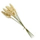thumbnail image 4 of Bewildely 1/6/10 Uds. Espigas de grano pequeñas frescas con simulación de hierba ramo de flores flores secas decoración pastoral natural para el hogar Flores artificiales beige Bewildely HA6566-03B, 4 of 6
