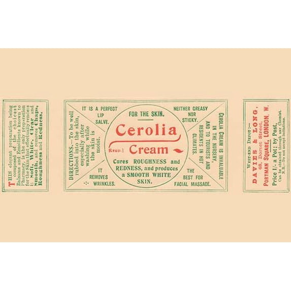 Cerolia Cream-Fine Art Canvas Print (20" x 30")