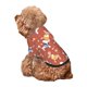 thumbnail image 5 of Balery Cute Poodle Dog Sudadera con Capucha para Perros Pequeños – Ropa para Mascotas, Disfraz para Perros y Gatos, Ideal para Fiestas y Cosplay-Medium, 5 of 7