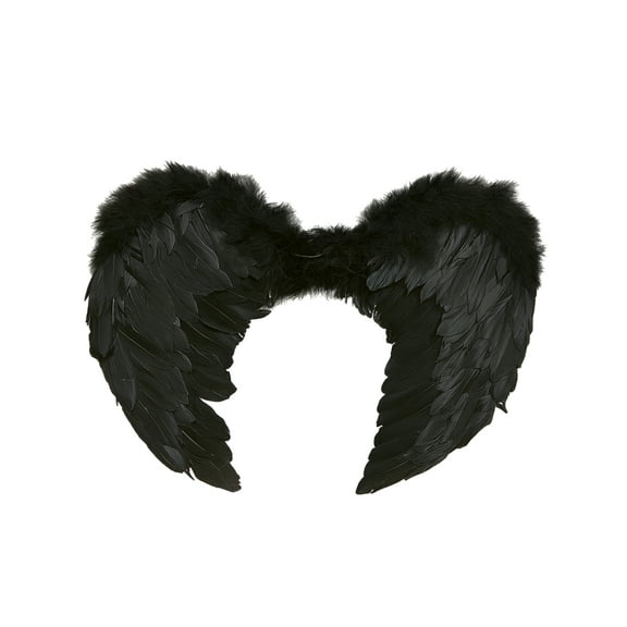Dark Angel Wings Costume Accessory