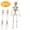 5PC-YZ11, variant on 5PC Halloween Skeleton Plastic Human Skull Pendant Foldable Decoration 40cm Eye Luminous Frame Skeleton vintage halloween decor
