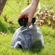 thumbnail image 1 of Pet Dog Travel Foldable Pooper Bag Scooper Toilet Picker Shovel Poop Waste Toilet Clamp Useful Cleaning Tools Pets Supplies Gao Jinjia LED, 1 of 2