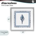 thumbnail image 4 of Stupell Industries Coastal Soft Blue Conch Shell Gray Framed Print Under Glass, 13 x 13, by Lanie Loreth, 4 of 8