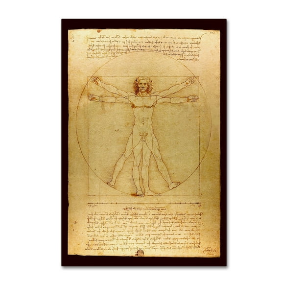 Trademark Fine Art 'Anatomy 6' Canvas Art by Vintage Lavoie