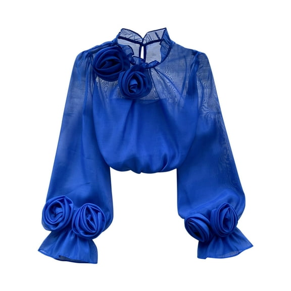 Womens Chiffon Tops Basic Spring T Shirts Long Sleeve Dressy Casual Loose Fit Cute Tee Clothes Trendy Fashion Outfits Blue Free Size