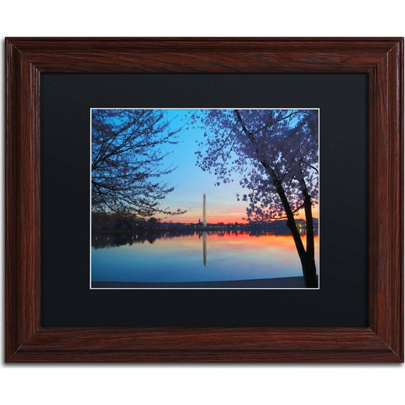 Trademark Fine Art "Tidal Basin Dawn" Canvas Art by CATeyes, Black Matte, Wood Frame