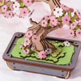 thumbnail image 5 of Bonsaï Sakura 3D Puzzle Rolife TG415, 5 of 5