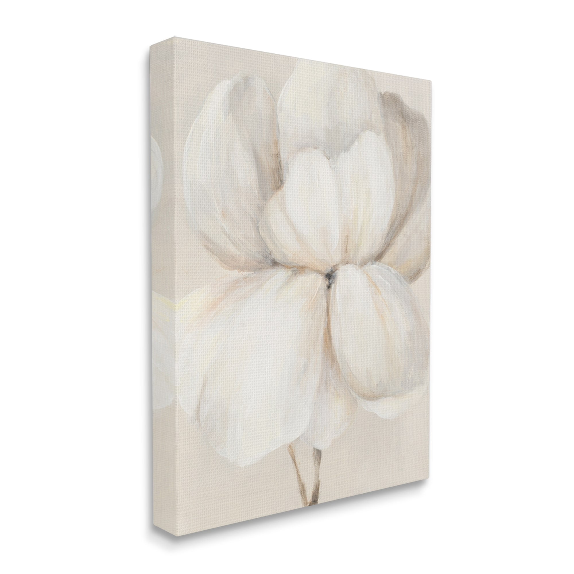Stupell Industries Puffy White Flower Traditional Floral Petal Painting, 24 x 30,Design by Lanie Loreth