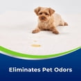 thumbnail image 4 of Eliminador de manchas y olores BISSELL Woolite® Advantage Pet 3327, 4 of 5