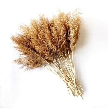 

Heiheiup And Decoration Room Stems Bedroom Living Grass Natural Natura Tall Home Decor Crystals for Chandeliers with Hooks Centerpiece