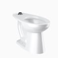 thumbnail image 1 of Sloan 2172029 Bol de Toilette Allongé Royal&44; Blanc, 1 of 1