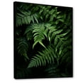 thumbnail image 2 of Designart "Ferns Plant Mystical Forms I" Floral & Botanical Floater Framed Wall Decor, 2 of 7