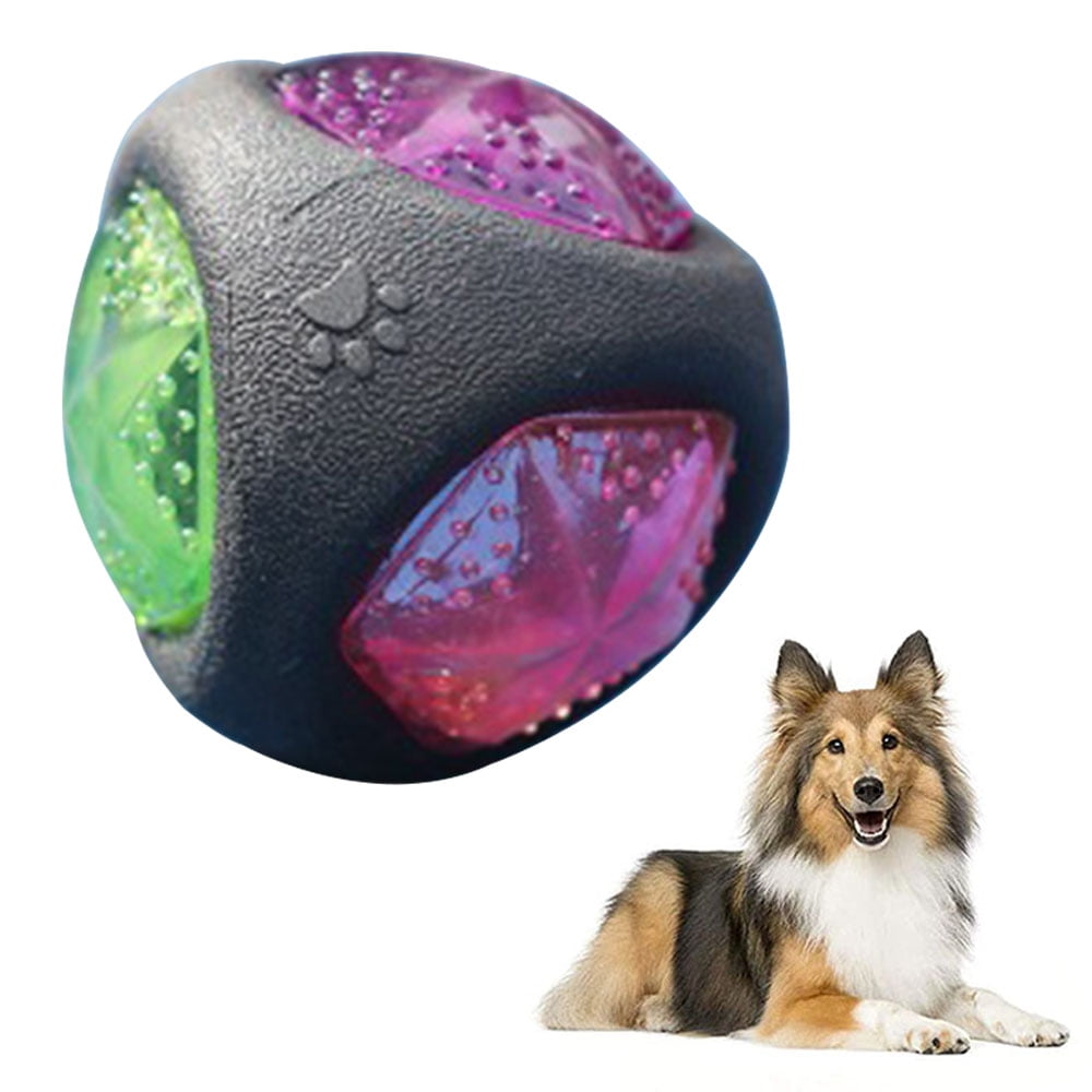 Lighted dog balls 2025