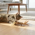 thumbnail image 5 of Catit Natural Feathers Cat Toy 2pk, 5 of 5