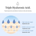 thumbnail image 3 of Mixsoon Glacier Water Hyaluronic Acid Serum - Non-greasy Hydration Booster, Firming Facial Serum For Radiant, Dewy Skin - Korean Serum for Glass Skin (10.14 fl.oz / 300ml), 3 of 5
