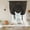 Slate, Silver, Charcoal, Ash, variant on Blue Spiders Web Halloween Tie Up Curtains 45 Inches Long, Kitchen Window Curtains Over Sink, Vintage Floral Luxury Abstract Small Window Curtains Balloon Curtains Valances for Bedroom/Cafe 34"x45"