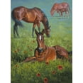 thumbnail image 2 of Sorenson, Jack 25x32 Gold Ornate Wood Framed with Double Matting Museum Art Print Titled - Indian Blanket, 2 of 4