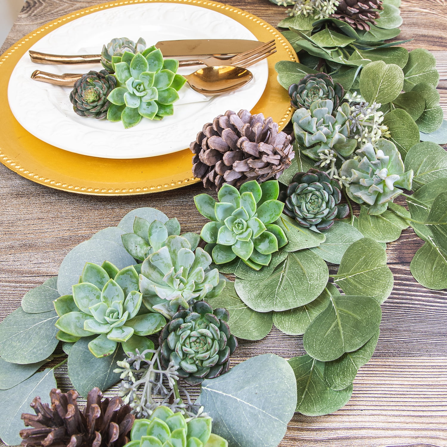 Altman Plants Live Succulent Plants 4-Pack, Echeveria Succulents Plants - Full Sun - 2.5-Inch Pots