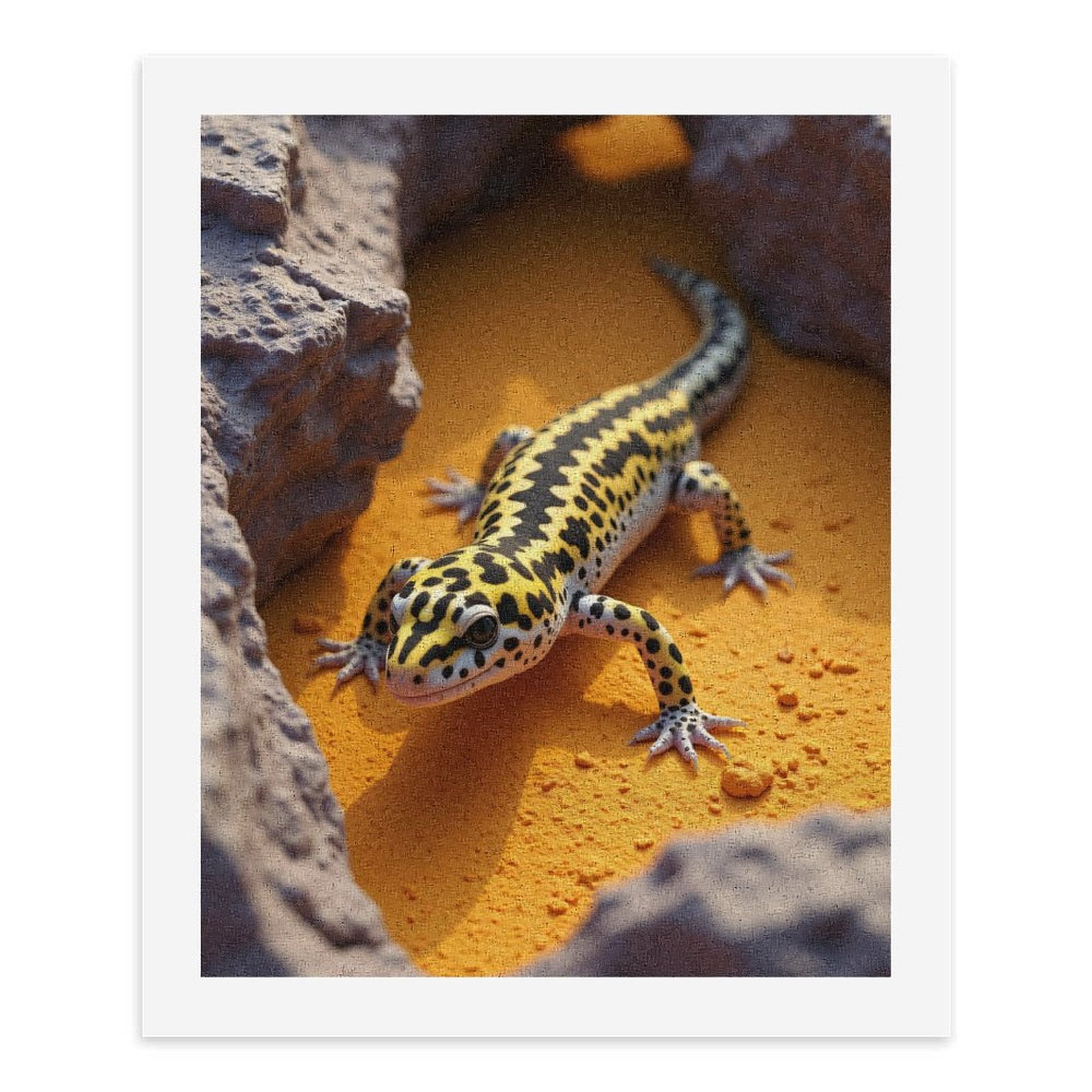 Paint by Numbers Kit for Adults, Yellow Spotted Lizard On Rocks Paint by Numbers, Easy Paint by Numbers Kit for Adults Beginner, DIY Adult Paint by Number Kits on Canvas, 12x16in Home Decor